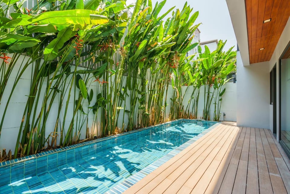Garden, Swimming pool