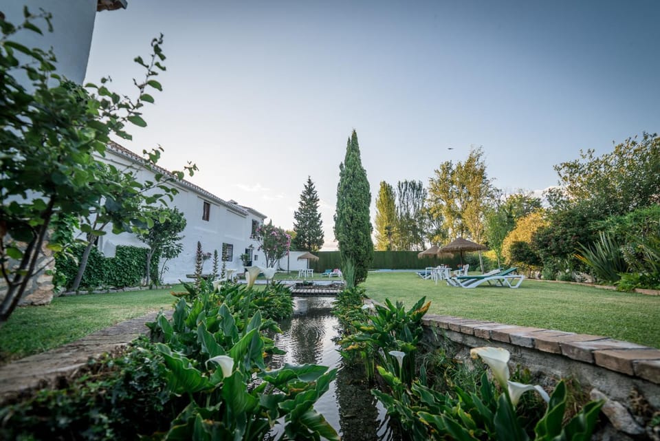 Garden, Garden view