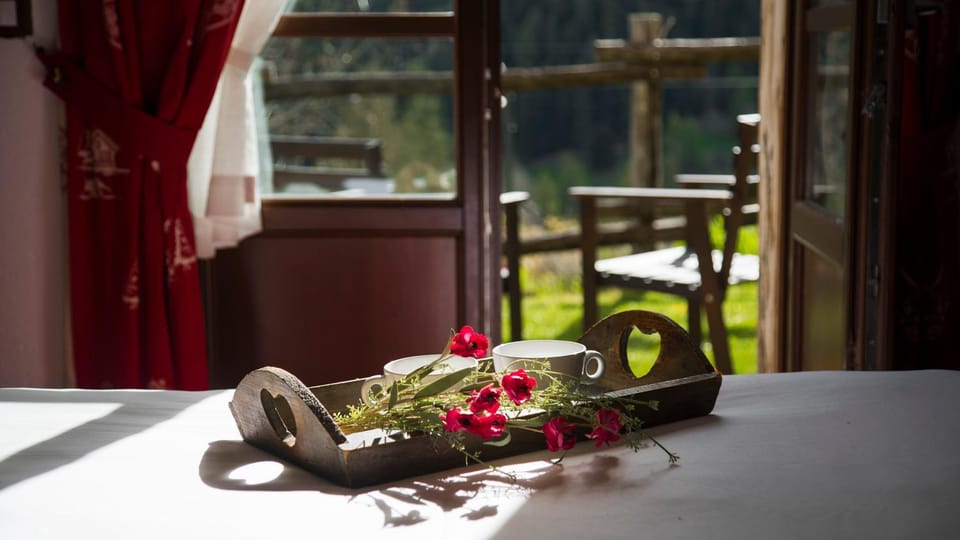 View (from property/room)