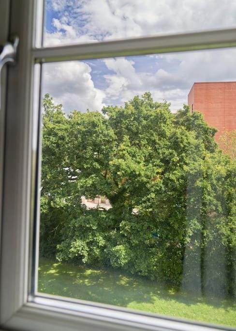 Day, Garden view