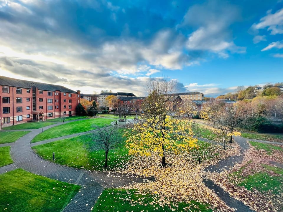 Property building, Garden, View (from property/room), Garden view