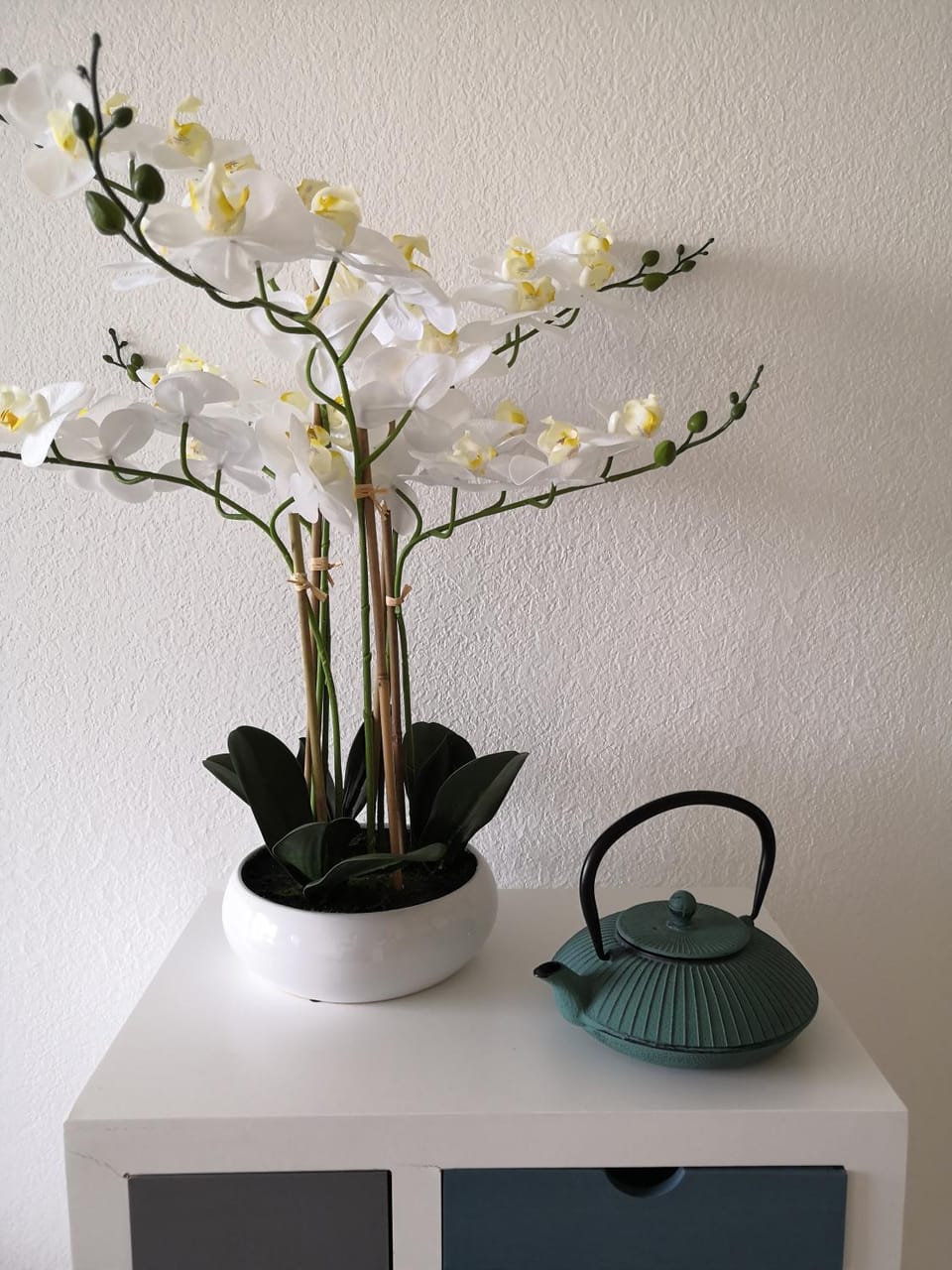 Studio cabine face piscine Cabin in Quiberon