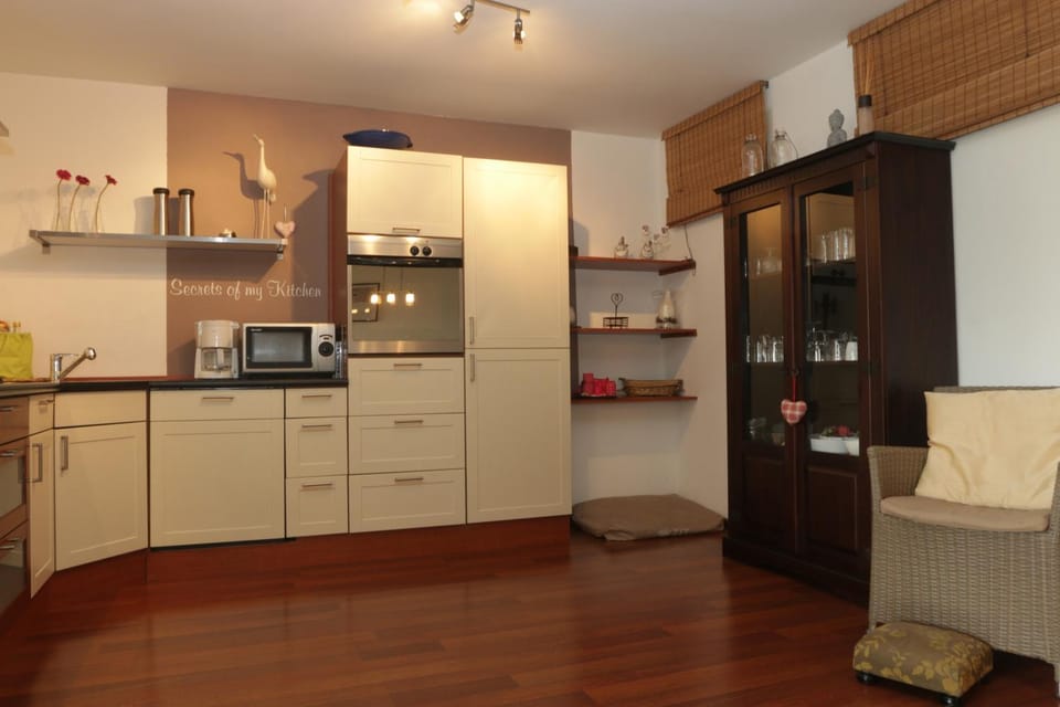 oven, stove
