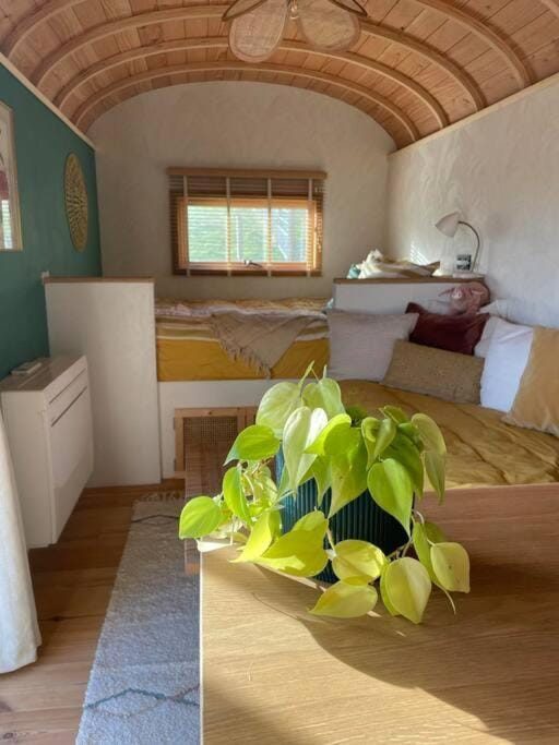 Roulotte en bois tout confort Chalet in Belgium