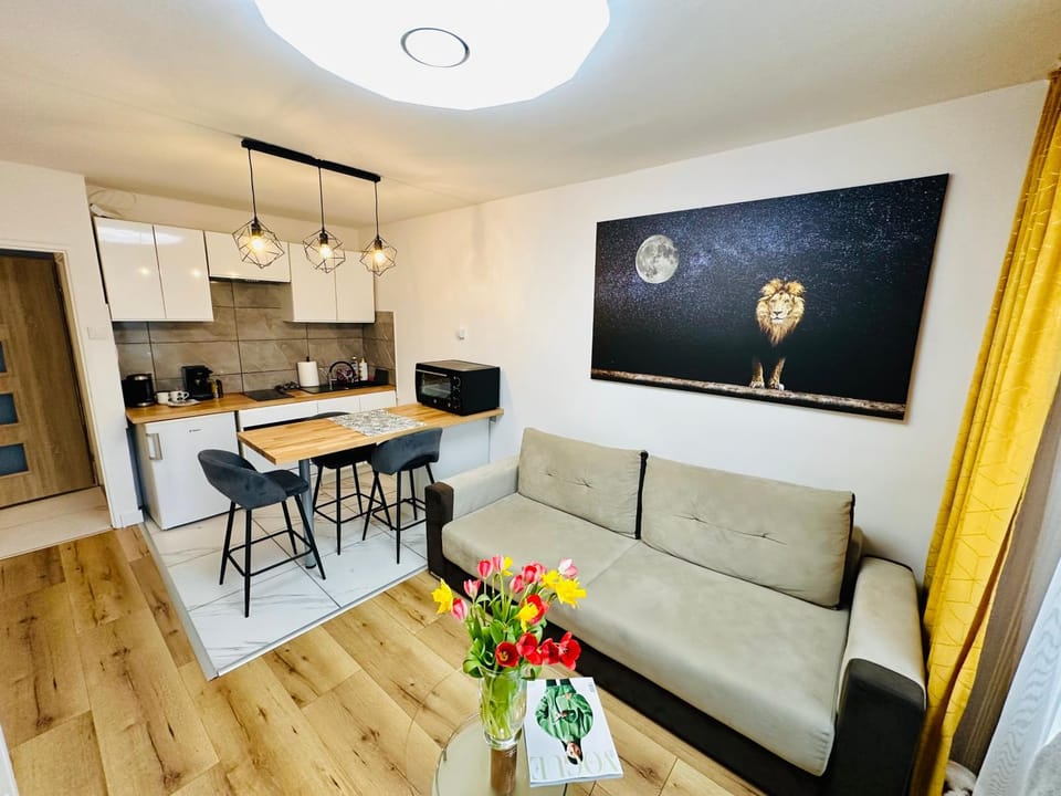Kitchen or kitchenette, Living room, Seating area, Dining area
