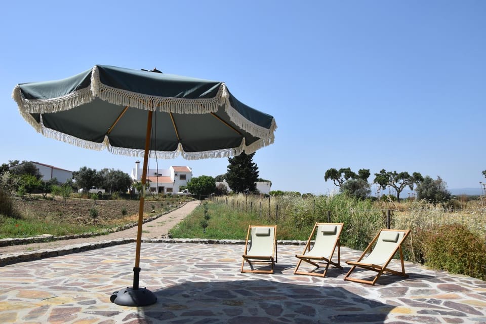 Patio, Natural landscape, Swimming pool