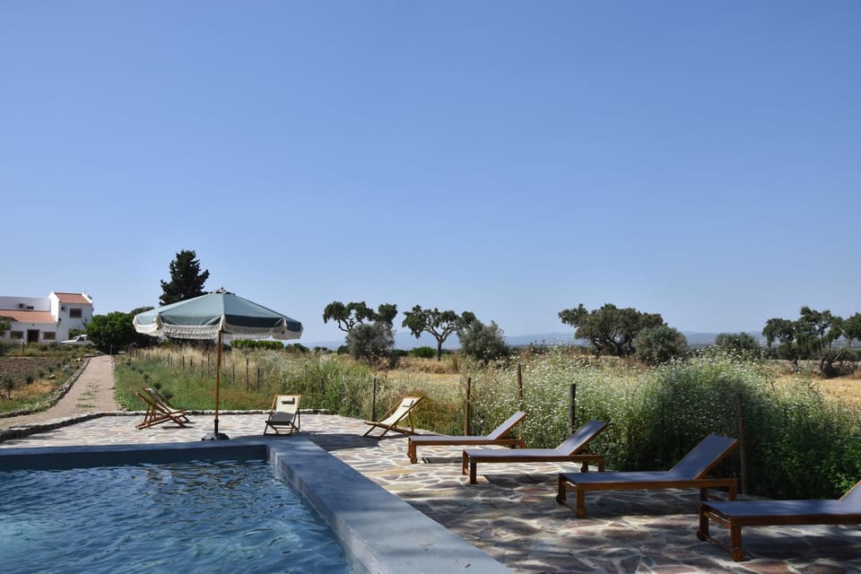 Natural landscape, Garden, Pool view, Swimming pool, sunbed