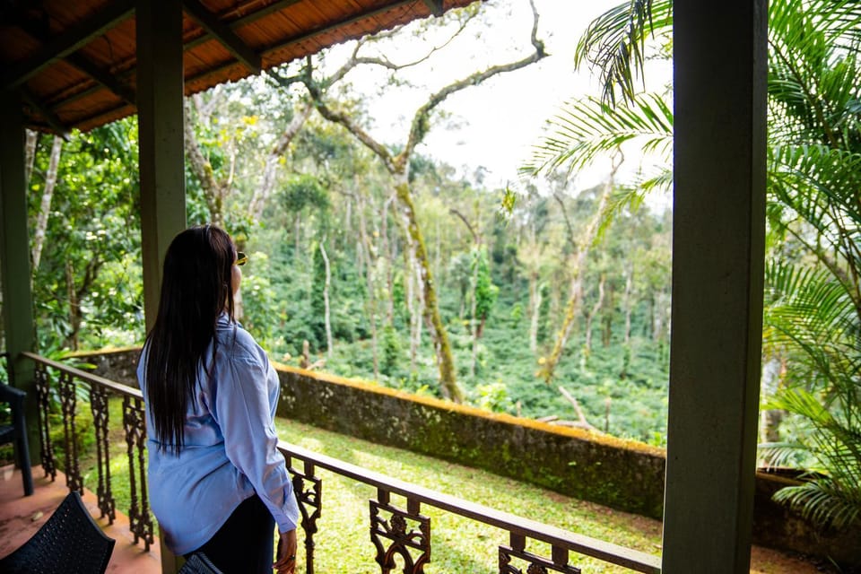 Natural landscape, View (from property/room)