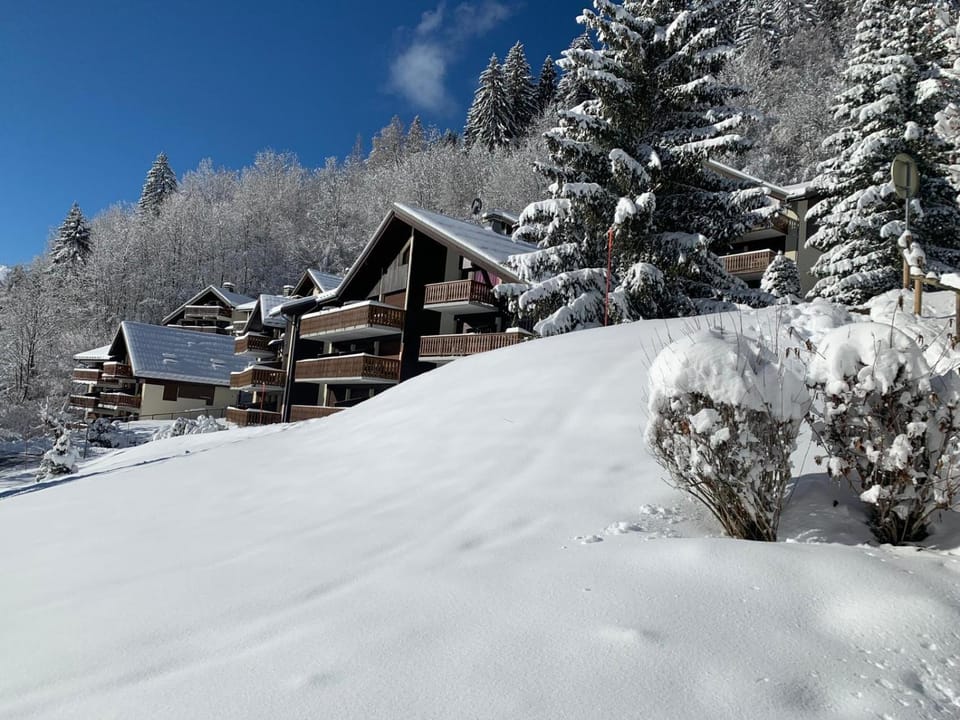 Studio 4 p avec terrasse proche remontée mécanique Apartment in Champagny-en-Vanoise
