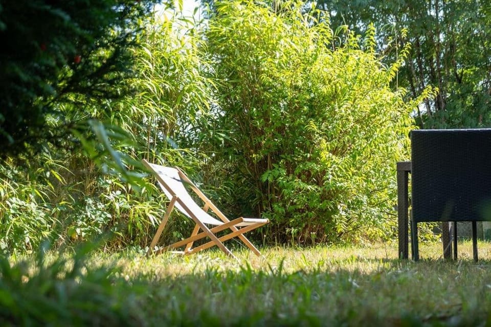 Natural landscape, Garden, Garden view, sunbed