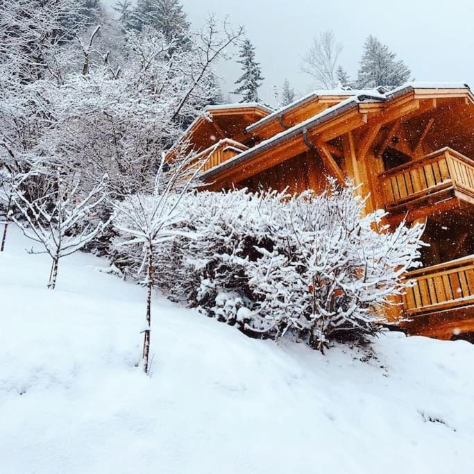 Property building, Natural landscape, Winter, Mountain view