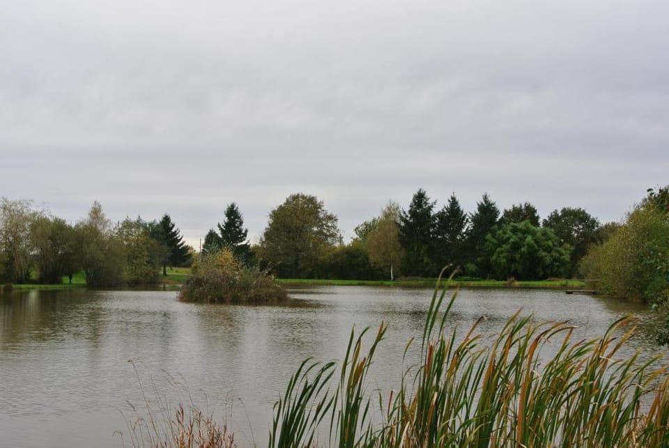 Fishing