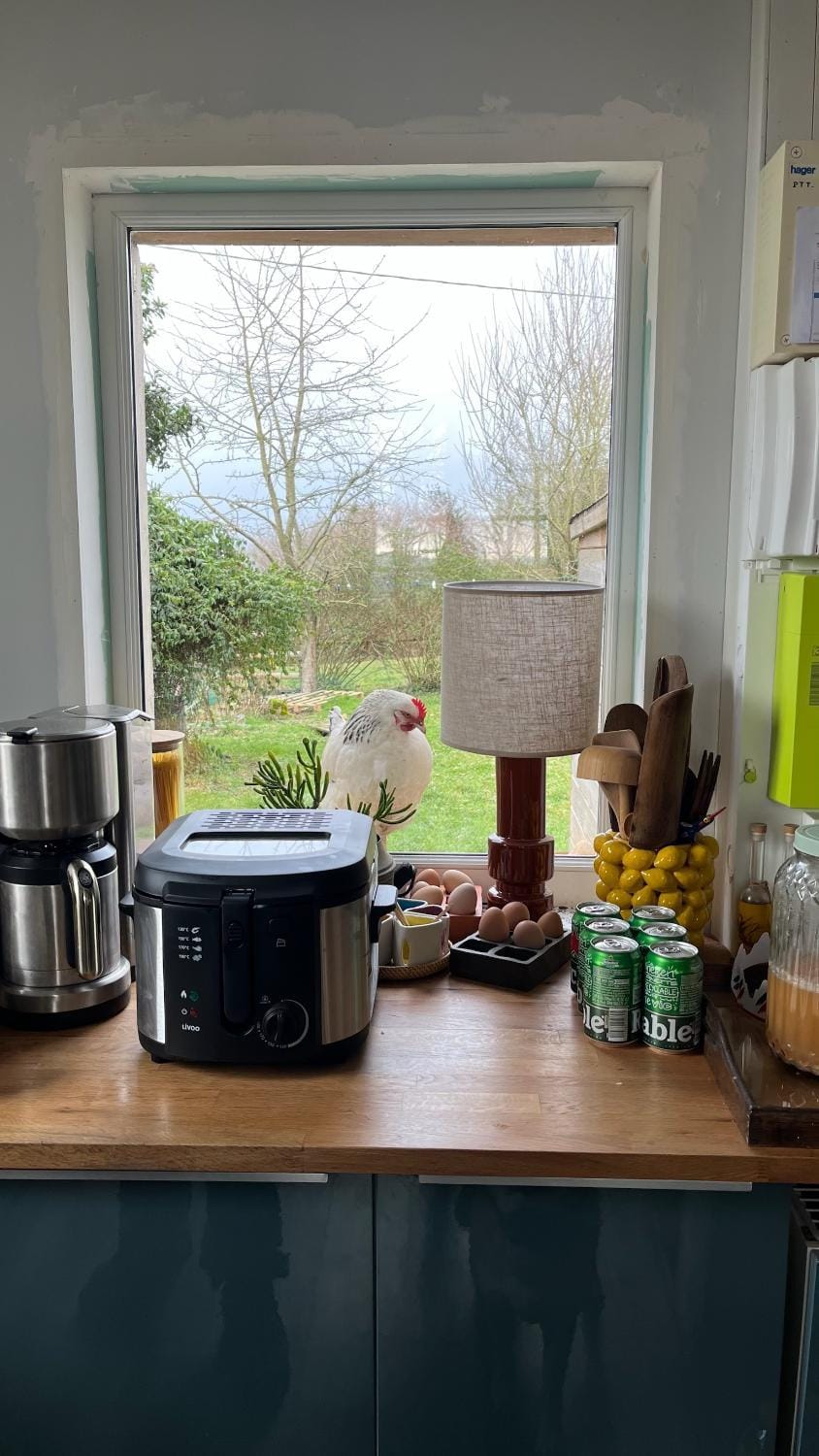 Kitchen or kitchenette, toaster