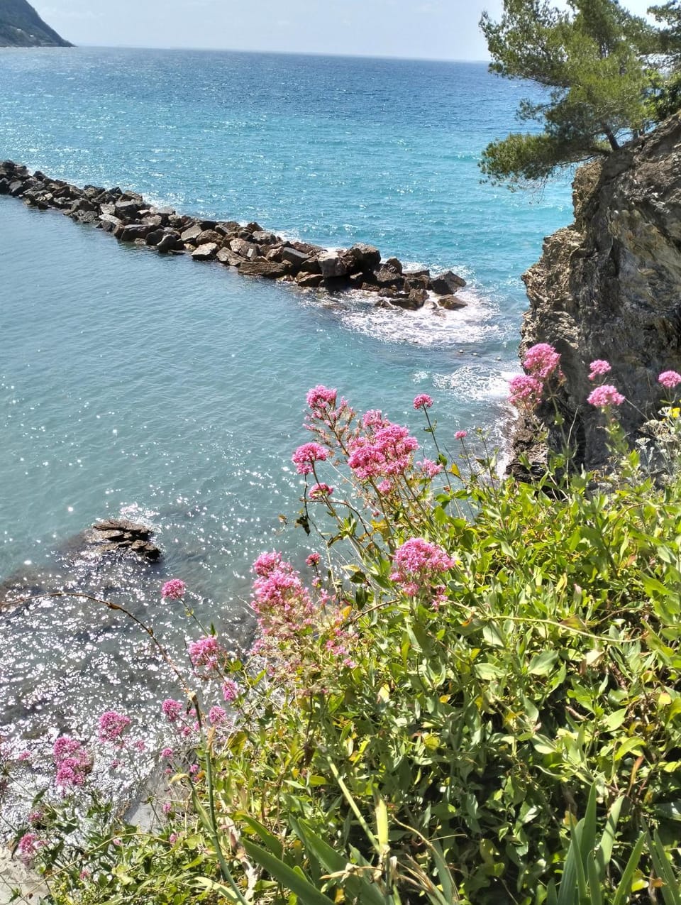Natural landscape, Sea view