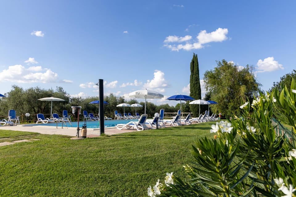 Pool view, Swimming pool, sunbed