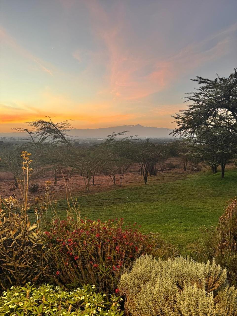 View (from property/room)