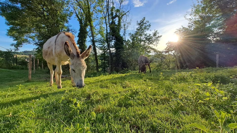 Logement neuf à 2 pas du lac House in Auvergne-Rhône-Alpes