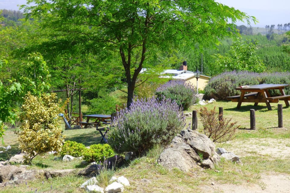 Natural landscape