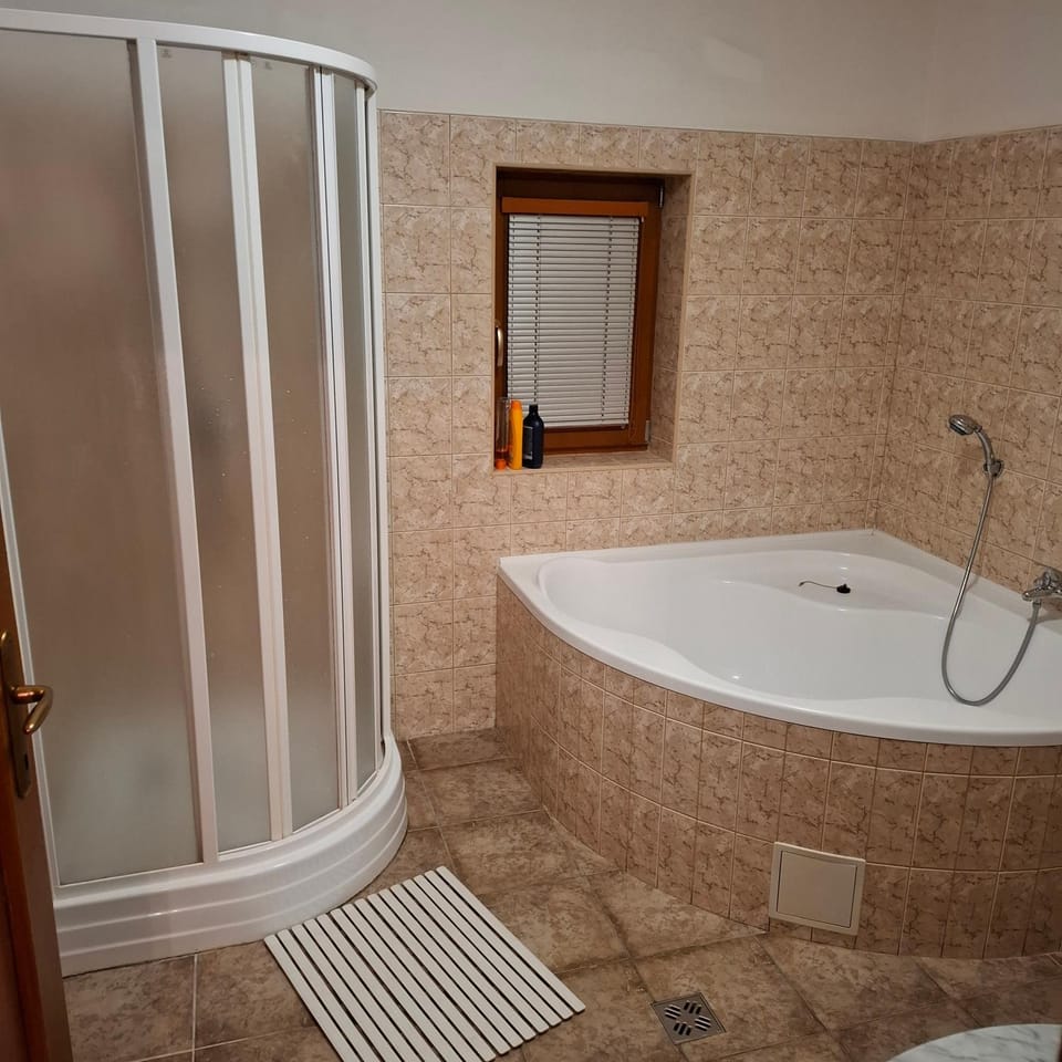 Vilа Barrandov pokoj 2 Vacation rental in Prague