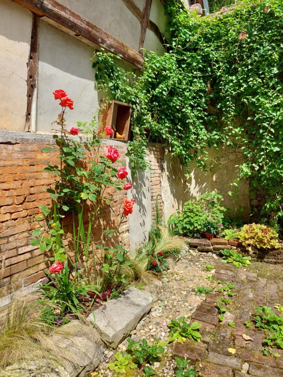 Garden, Garden view