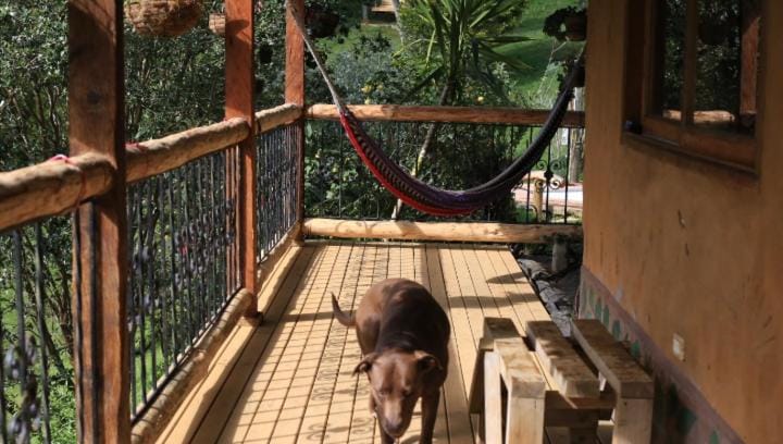 Luna Verde Eco Hábitat -Hostal Country House in Antioquia