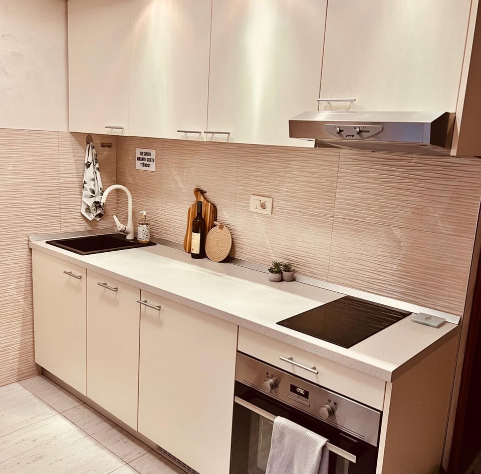 Kitchen or kitchenette, dishwasher, stove