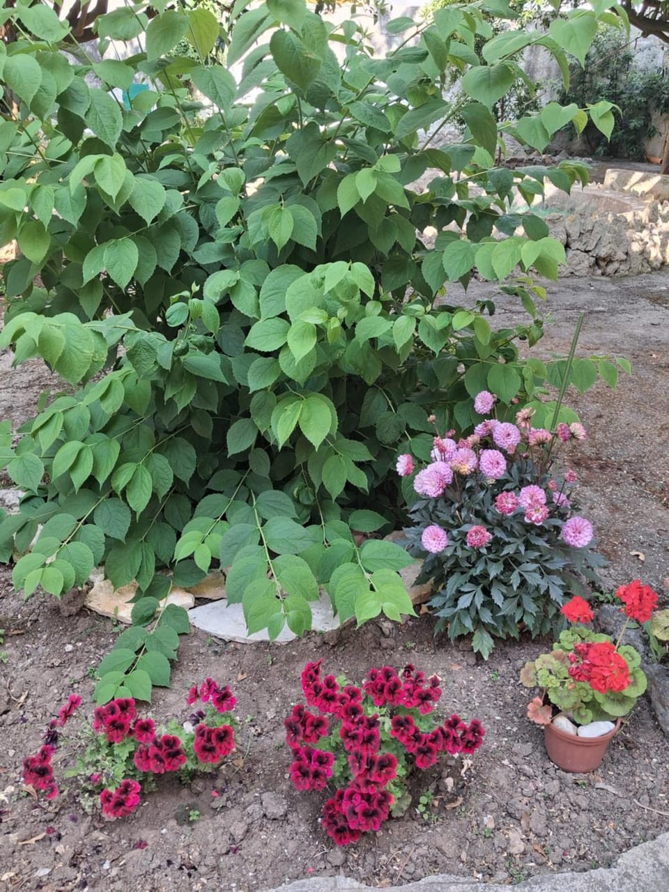 La Rugiada-con giardino e parcheggio moto privato Bed and Breakfast in Alcamo