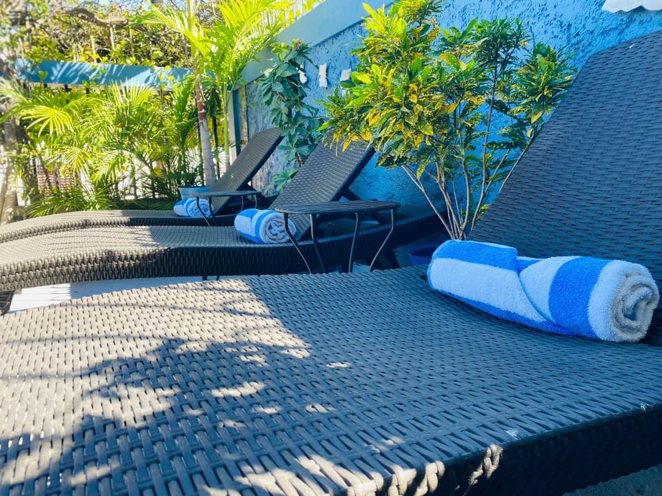 Casa Palencia Hotel and Breakfast Bed and Breakfast in Mazatlan