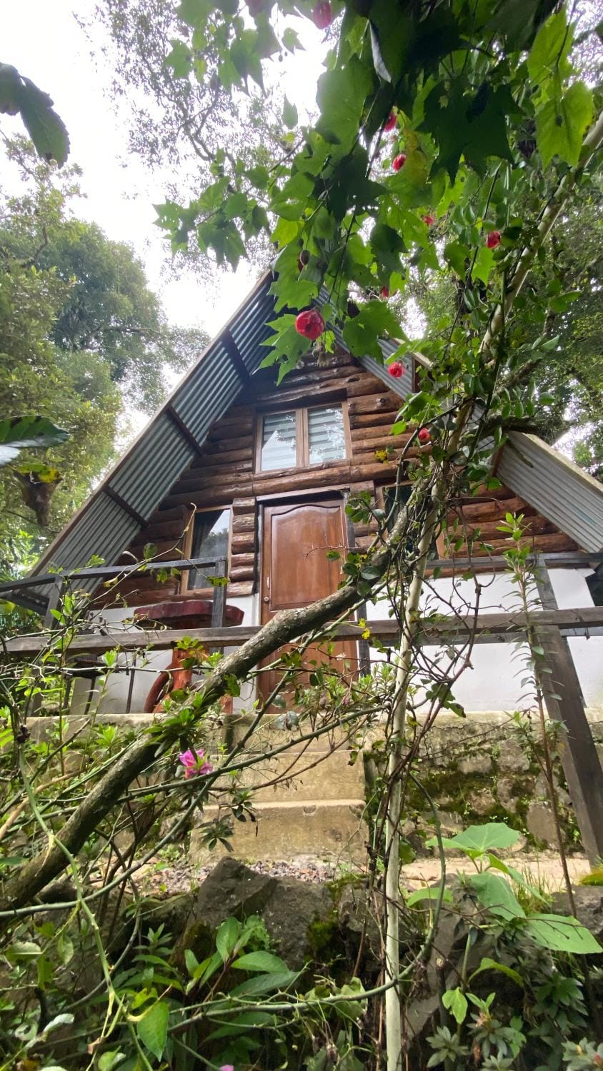 Cabañita del bosque de la cumbre de san Bartolo Milpas Altas House in Sacatepéquez Department