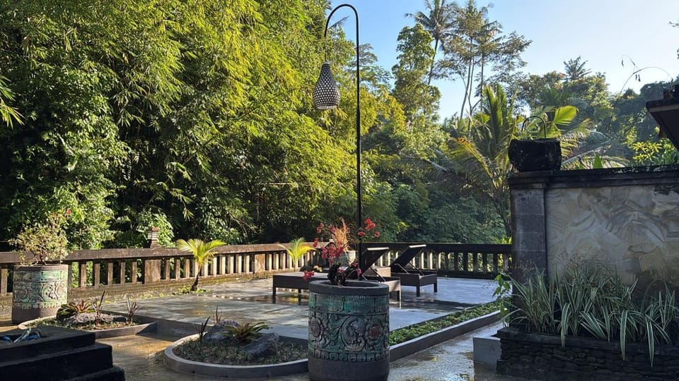 Garden, Garden view, sunbed