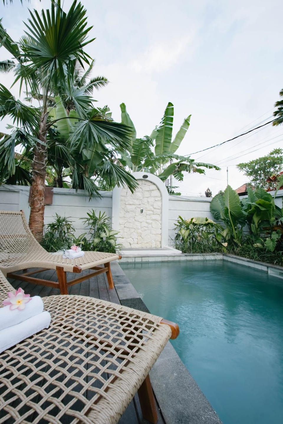 Natural landscape, Garden, Garden view, Pool view, Swimming pool, sunbed