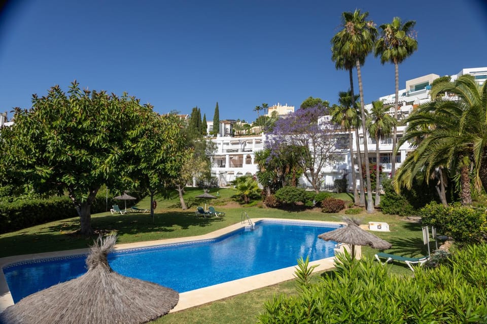 Property building, Day, Garden, Garden view, Swimming pool, sunbed