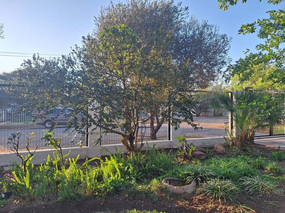 Garden, Garden view