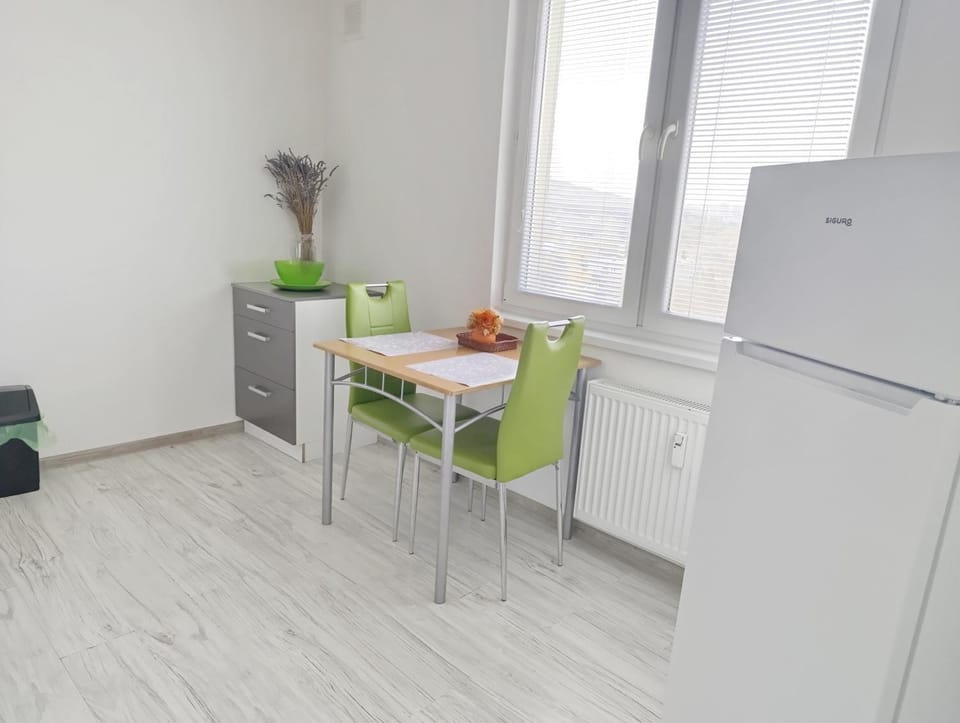 Spacious flat in wider centre of Nitra with balcony and free on-street parking Apartment in Slovakia