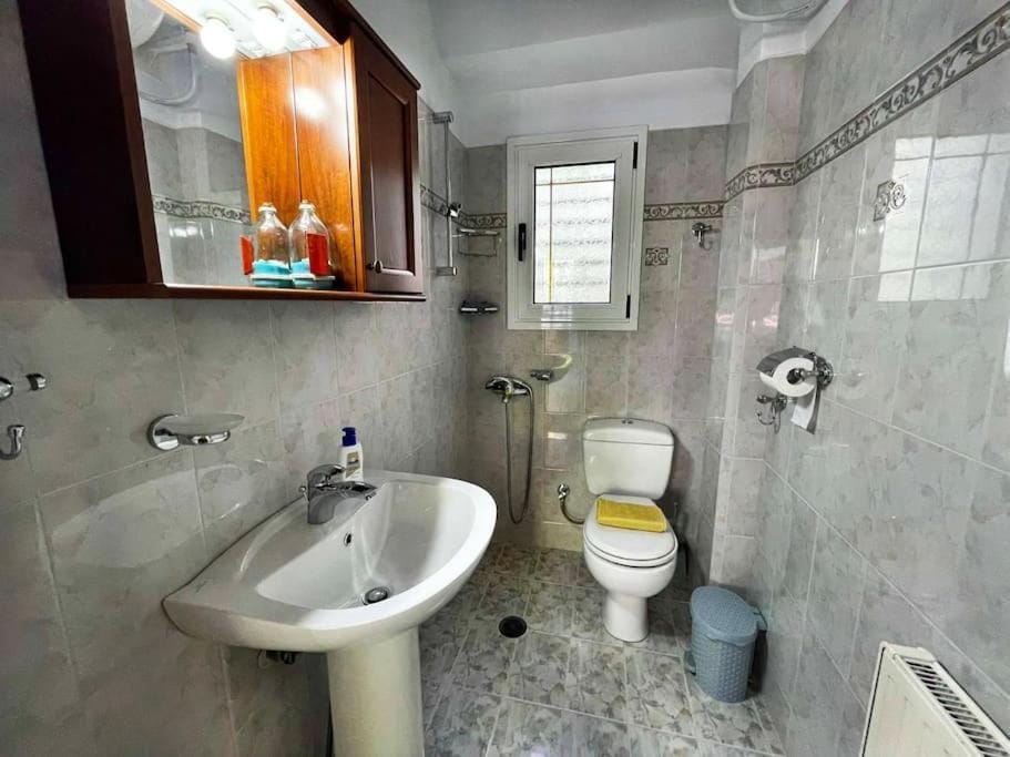 Cosy Apartment with Garden 5 min from metro Apartment in South Athens