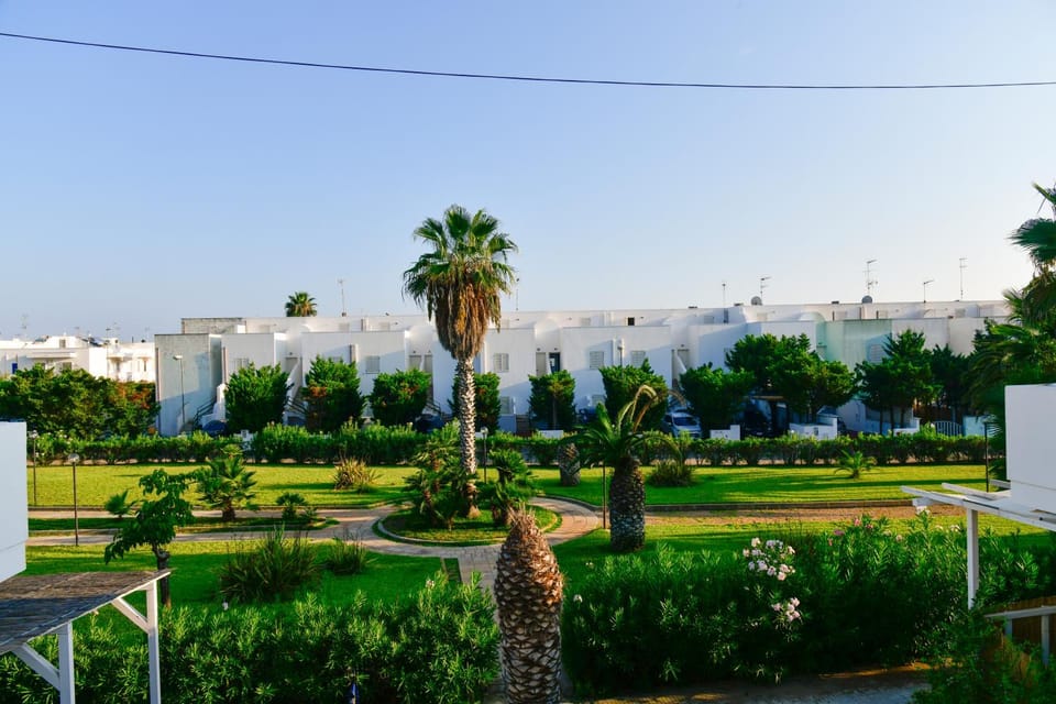 Natural landscape, Garden