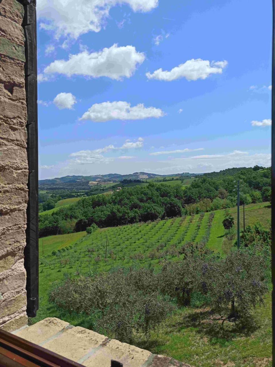 View (from property/room)