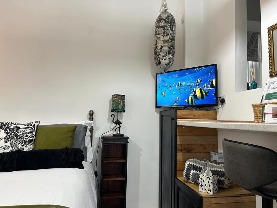 TV and multimedia