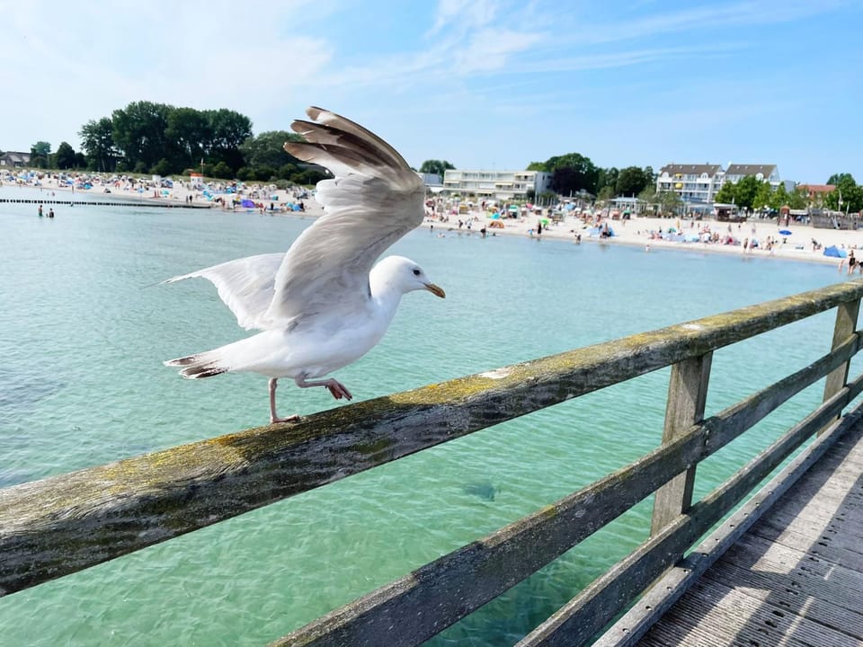 Vier Jahreszeiten "Ankerplatz" im Haus 6 Nummer 13 Apartment in Großenbrode