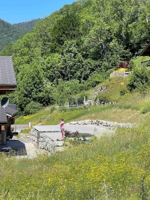 Chalet Purdey - Sleeps 10 with Hot Tub Chalet in Montriond