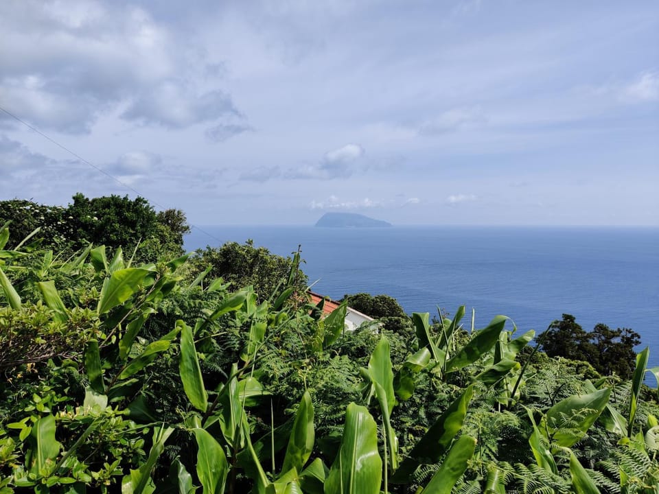 Ocean View Cedros House in Azores District