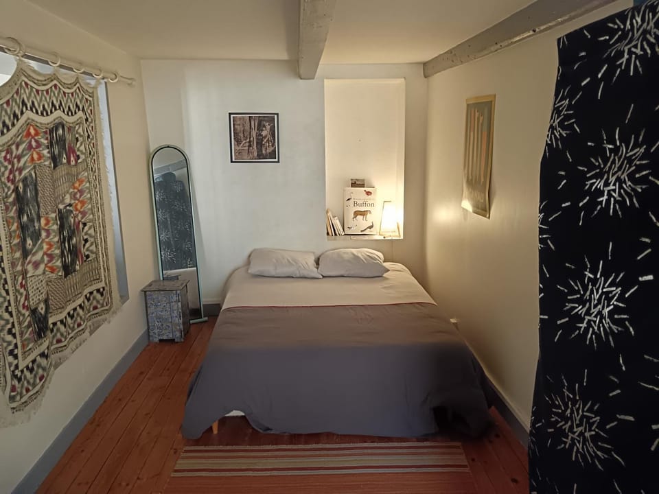 Appartement centre Toulouse Apartment in Toulouse