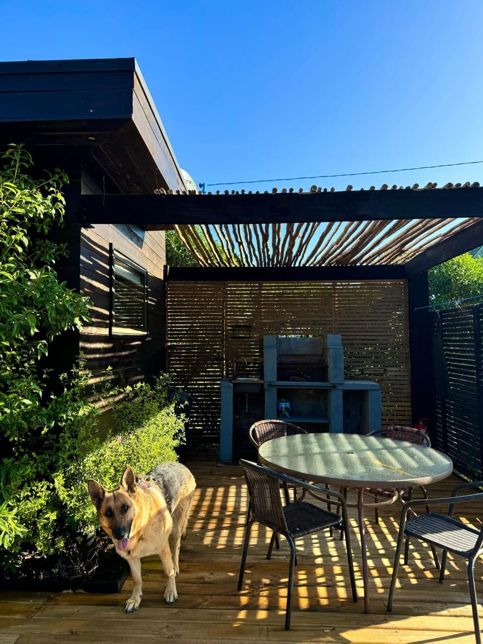 Patio, BBQ facilities
