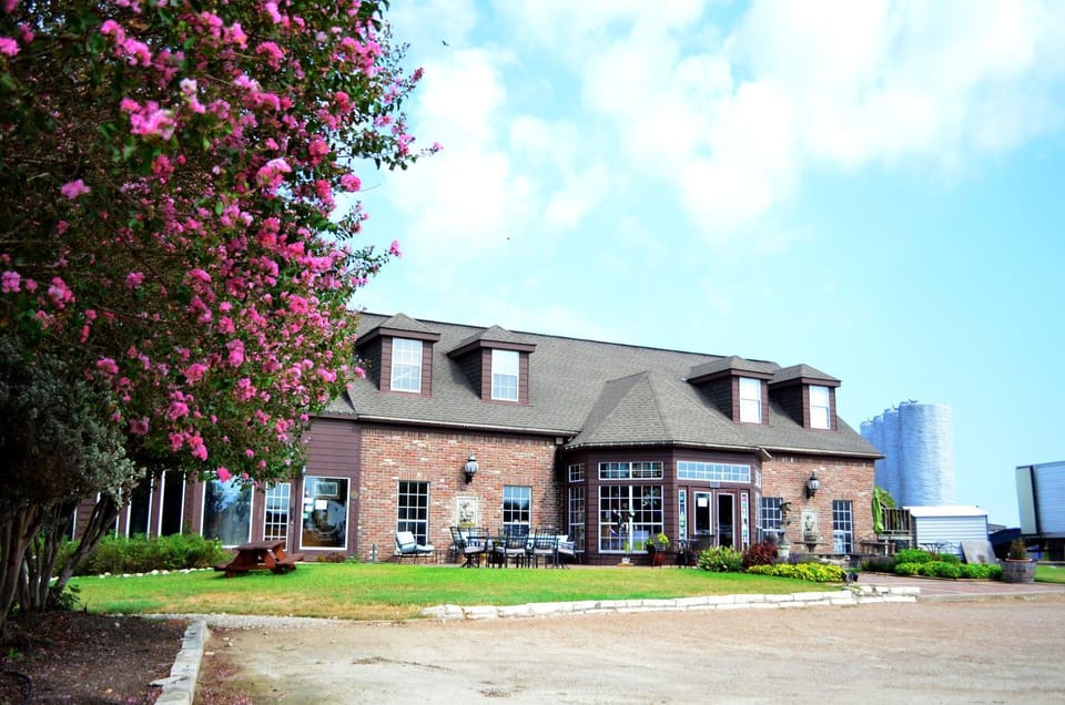 Restaurant/places to eat, Lounge or bar
