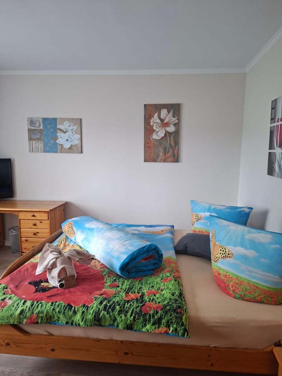 Photo of the whole room