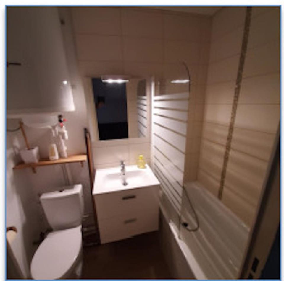 Bathroom, Living room