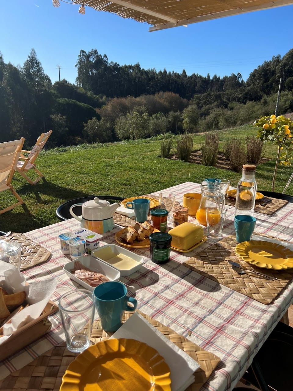 Balcony/Terrace, Breakfast