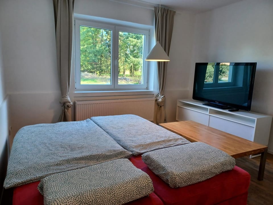 Bed, TV and multimedia, Living room