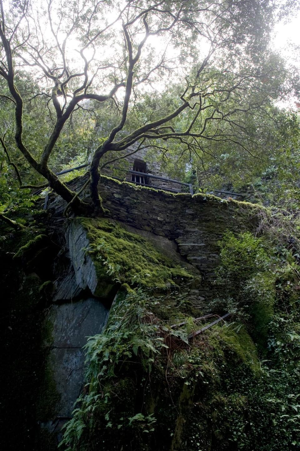 Natural landscape