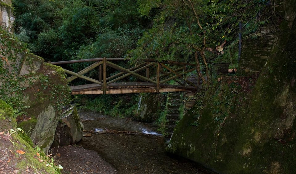 Natural landscape
